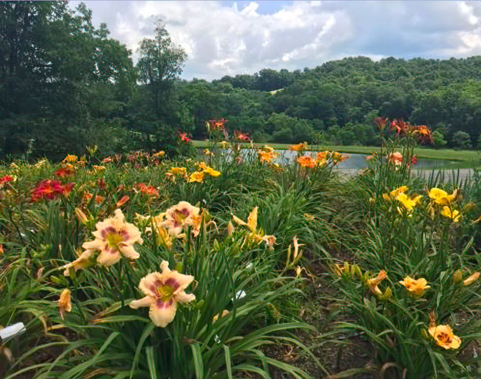 ZahnerGarden